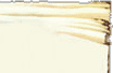     13_cur.gif